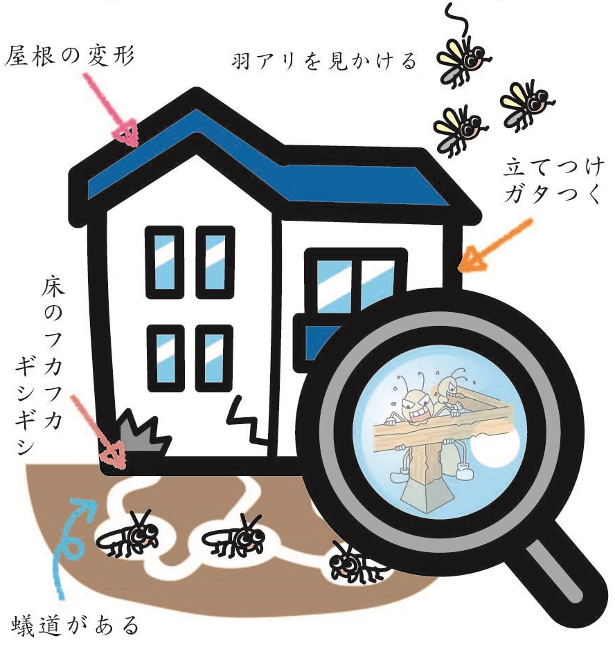 奈良県 桜井市 白蟻 シロアリ 害虫 害獣駆除会社 奈良倭 やまと 消毒